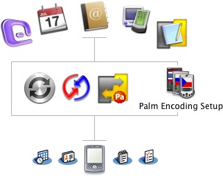Marks/Space Notebook, Mark/Space MemoPad, Address Book, iCal, Palm Desktop, Microsoft Entourage - iSync, HotSync, Mark/Space Missing Sync for Palm OS + Palm Encoding Setup - Palm